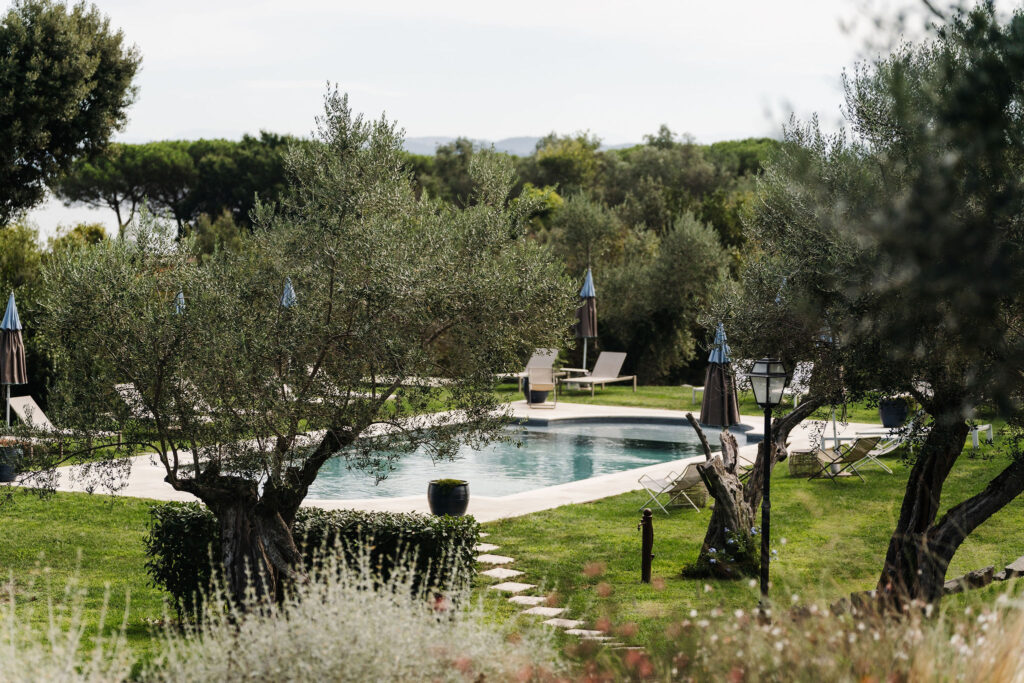 Pool und Liegestühle in einem grünen Garten zwischen Olivenbäumen